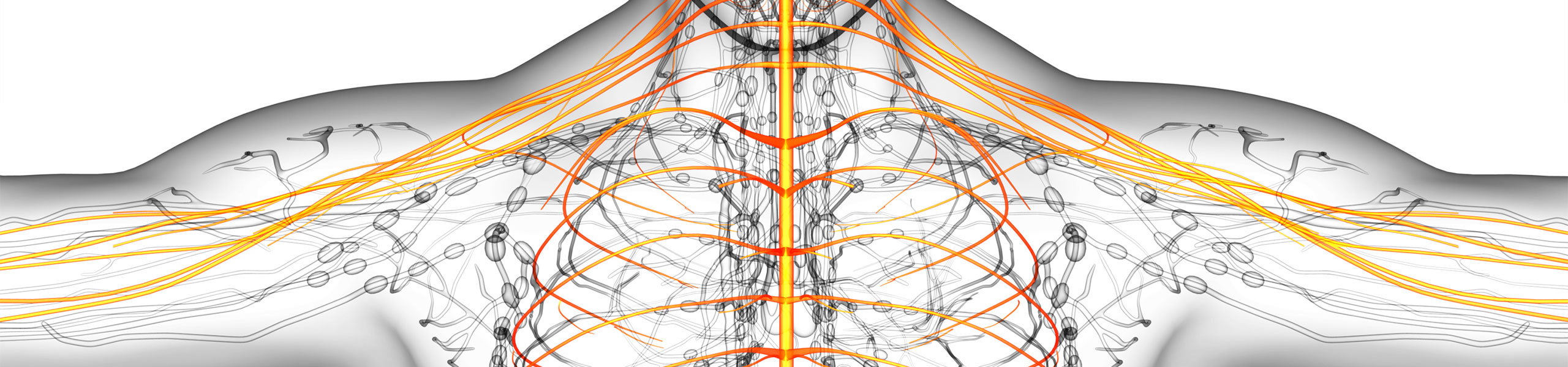 Nerve Decompression