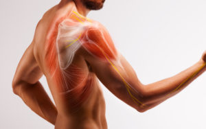 Tendon Transfer Los Angeles | Nerve Specialist 